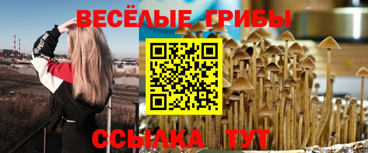 Саранск  Галлюциногенные грибы ЛСД  Псилоцибиновые грибы Magic Shrooms  Вход с VPN 